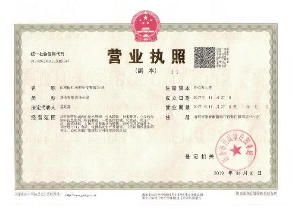 国仁医药科技有限公司